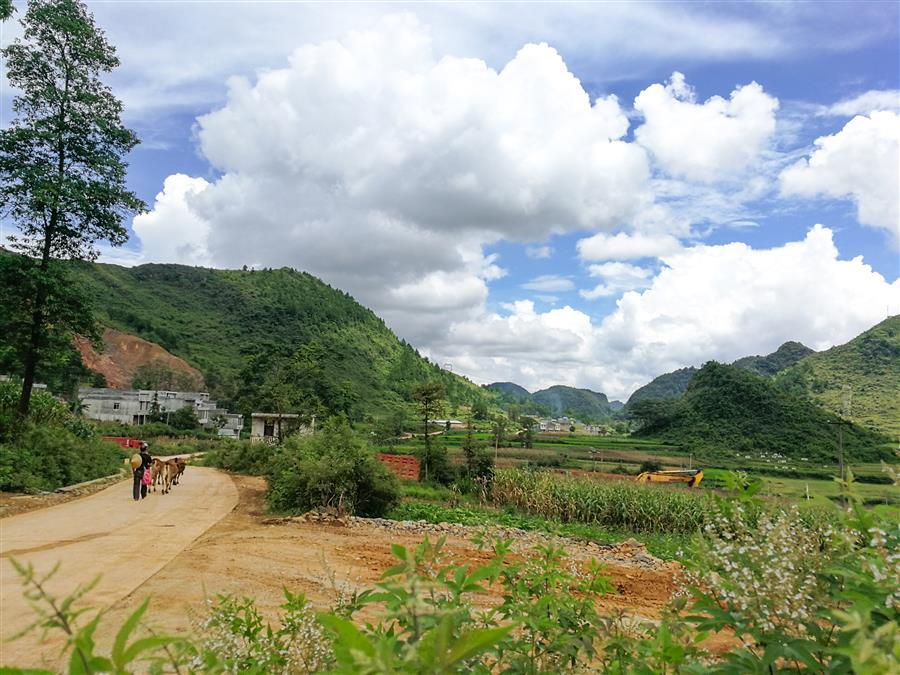 ������ʱ��(�й���)�������ǲ�!