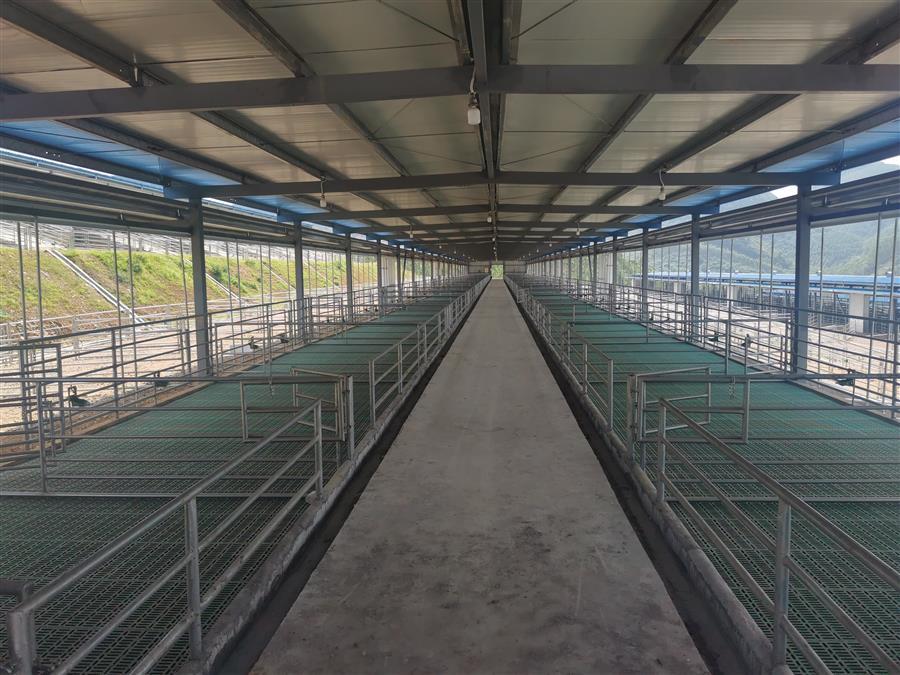 ������ʱ��(�й���)�������ǲ�!