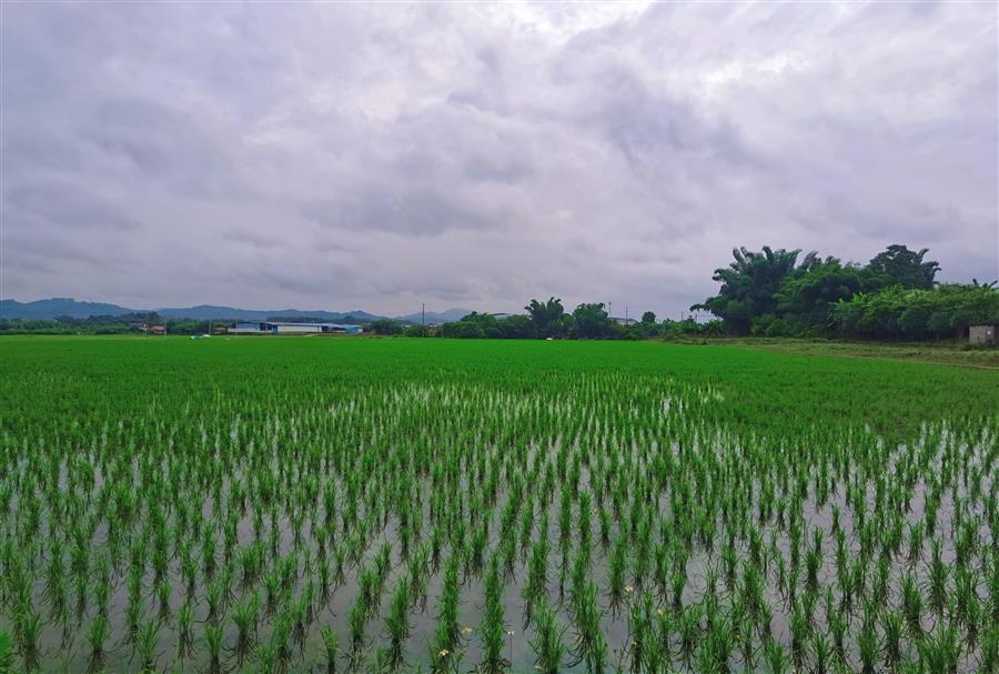 ������ʱ��(�й���)�������ǲ�!