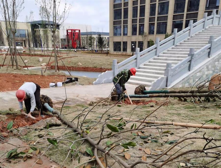 ������ʱ��(�й���)�������ǲ�!