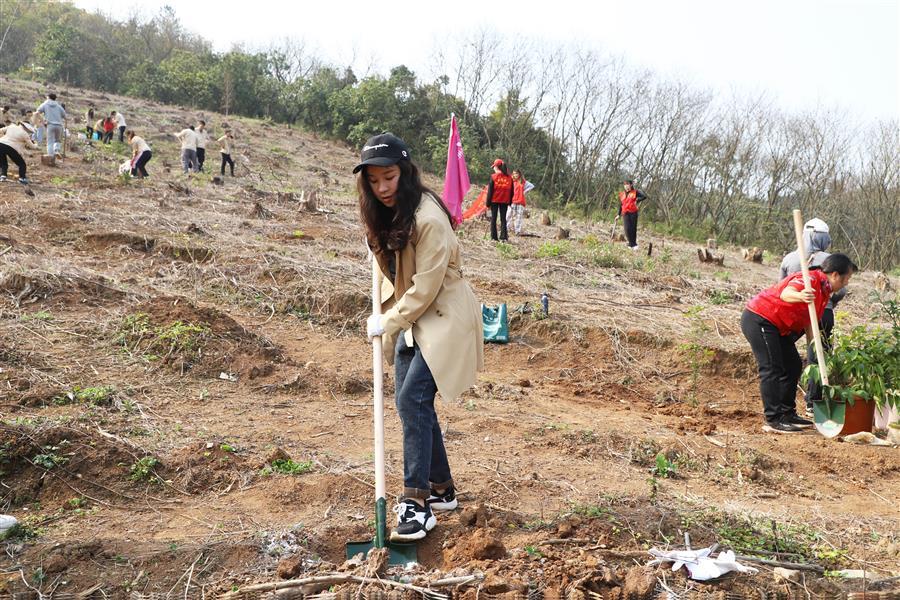 ������ʱ��(�й���)�������ǲ�!