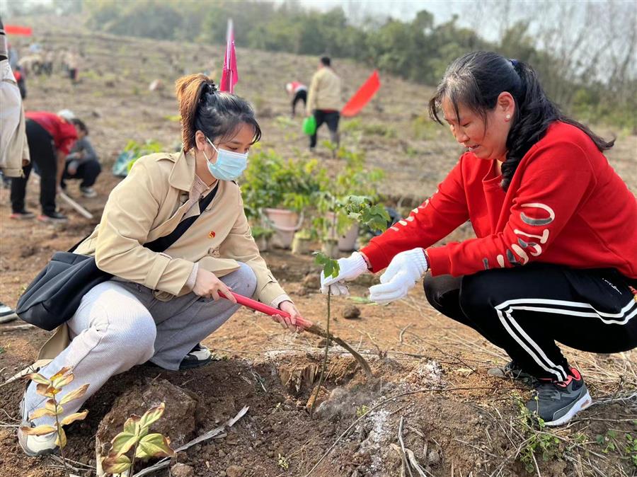 ������ʱ��(�й���)�������ǲ�!