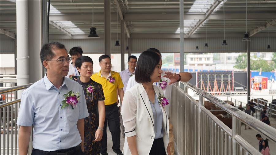 ������ʱ��(�й���)�������ǲ�!