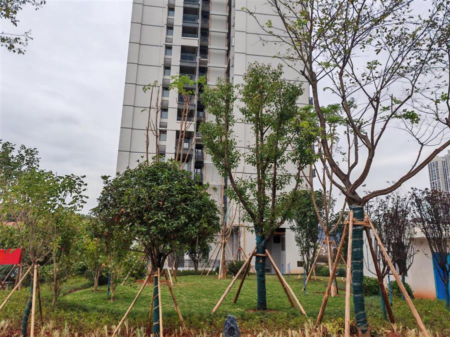 ������ʱ��(�й���)�������ǲ�!