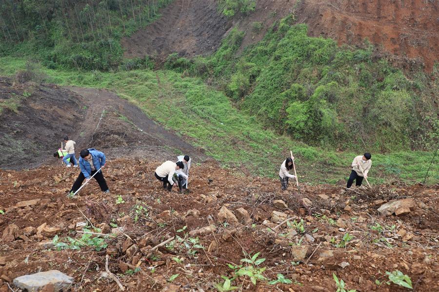 ������ʱ��(�й���)�������ǲ�!