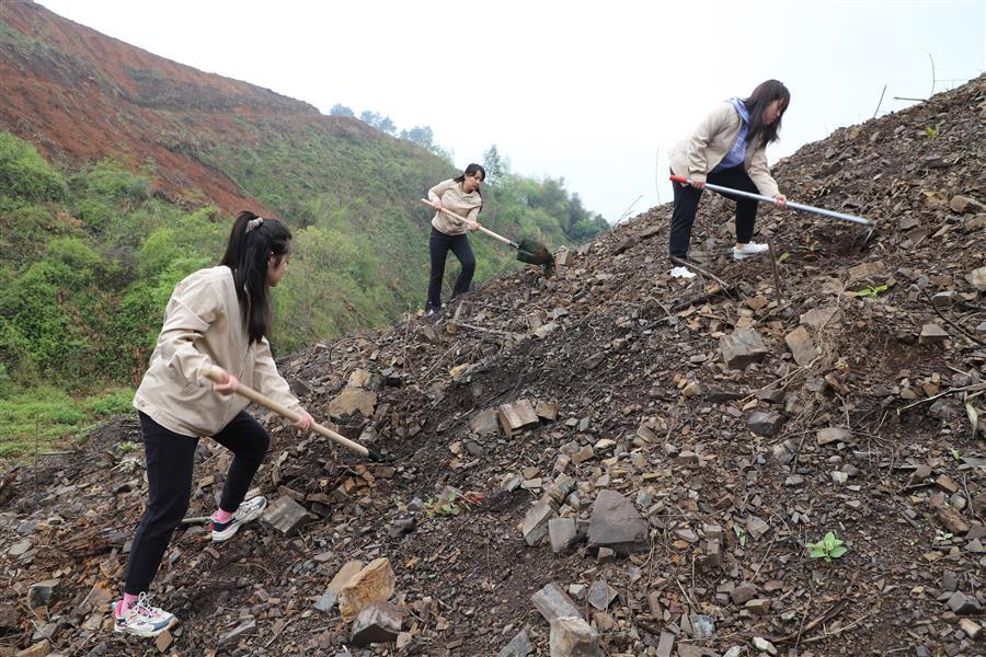 ������ʱ��(�й���)�������ǲ�!