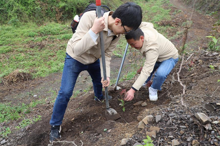 ������ʱ��(�й���)�������ǲ�!