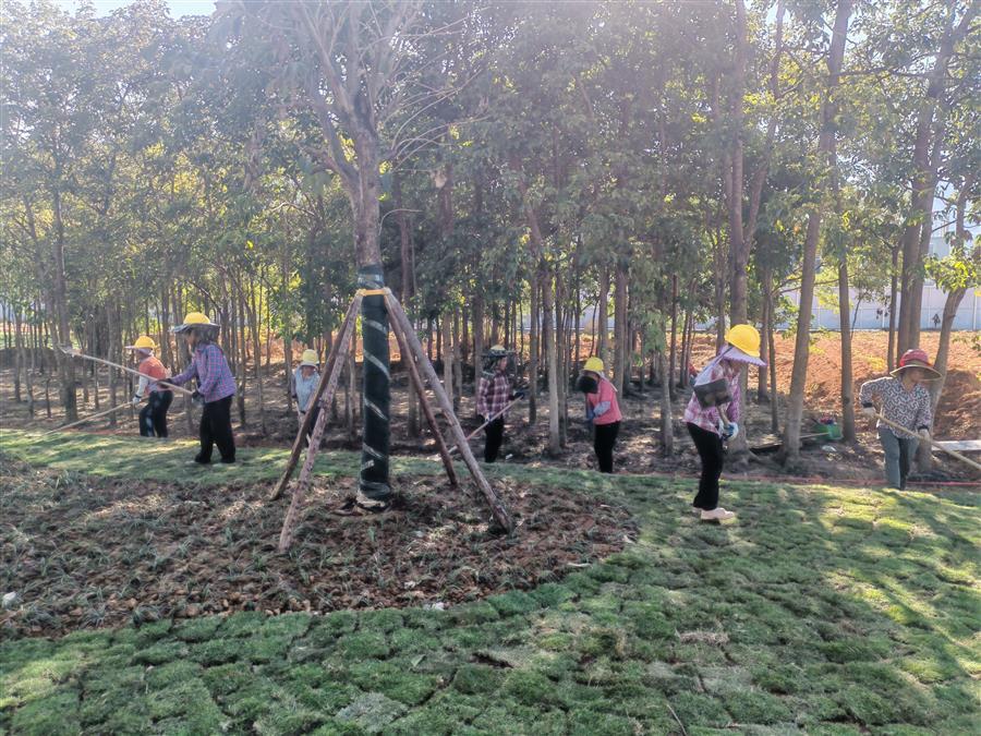 ������ʱ��(�й���)�������ǲ�!