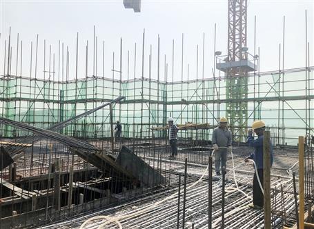 ʮһ�������������������ǹ�������������Ӱ��