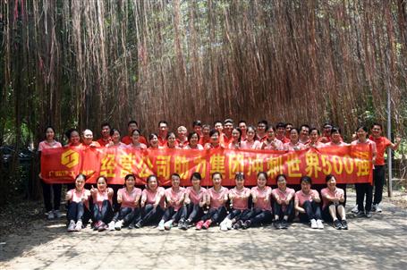 ı����˾��չ�������Ź�˾�������500ǿ������չ�˶�