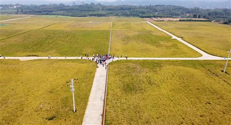 ȫ��500������ְԱ����Ħ�����Ŀ